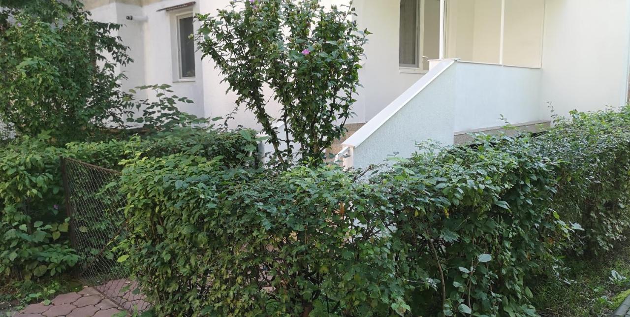 Diamond Apartment Târgu-Mureş Екстериор снимка