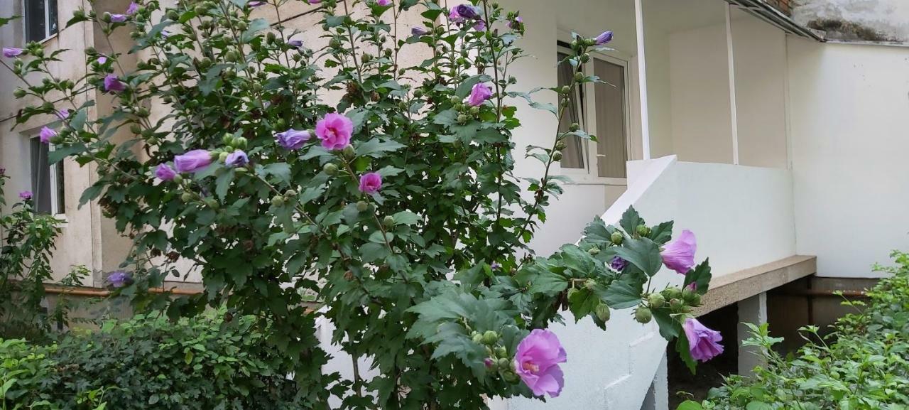 Diamond Apartment Târgu-Mureş Екстериор снимка